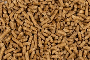 Pine Cat Litter